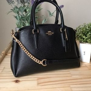 Coach Mini Sage Carryall
